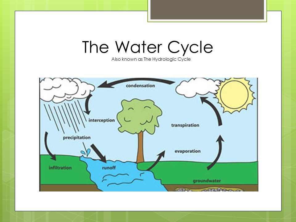 The Water Cycle Also known as The Hydrologic Cycle