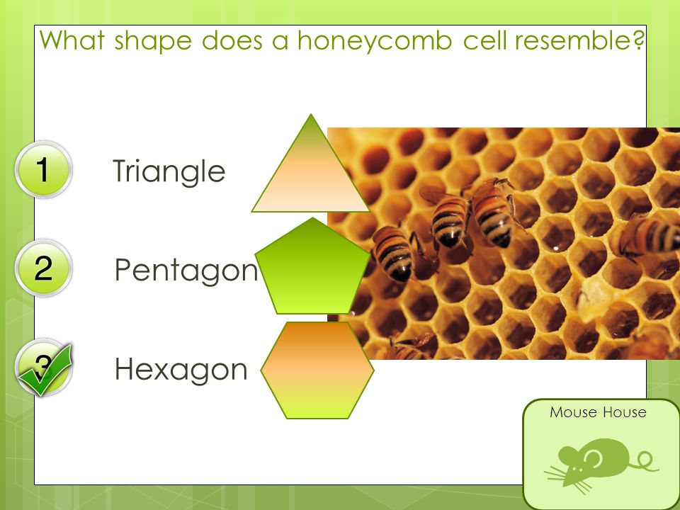 What shape does a honeycomb cell resemble