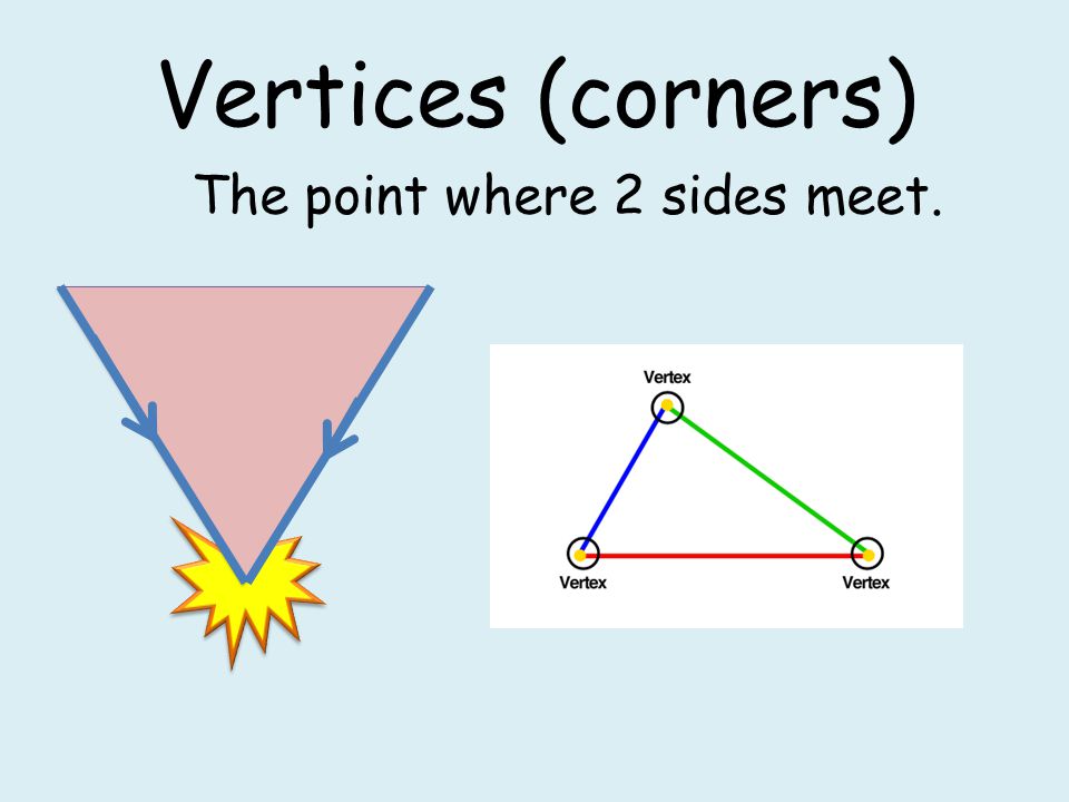Vertices (corners) The point where 2 sides meet.