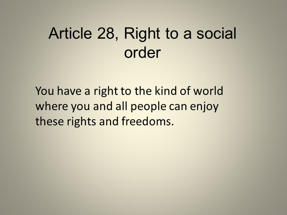 Article 28, Right to a social order
