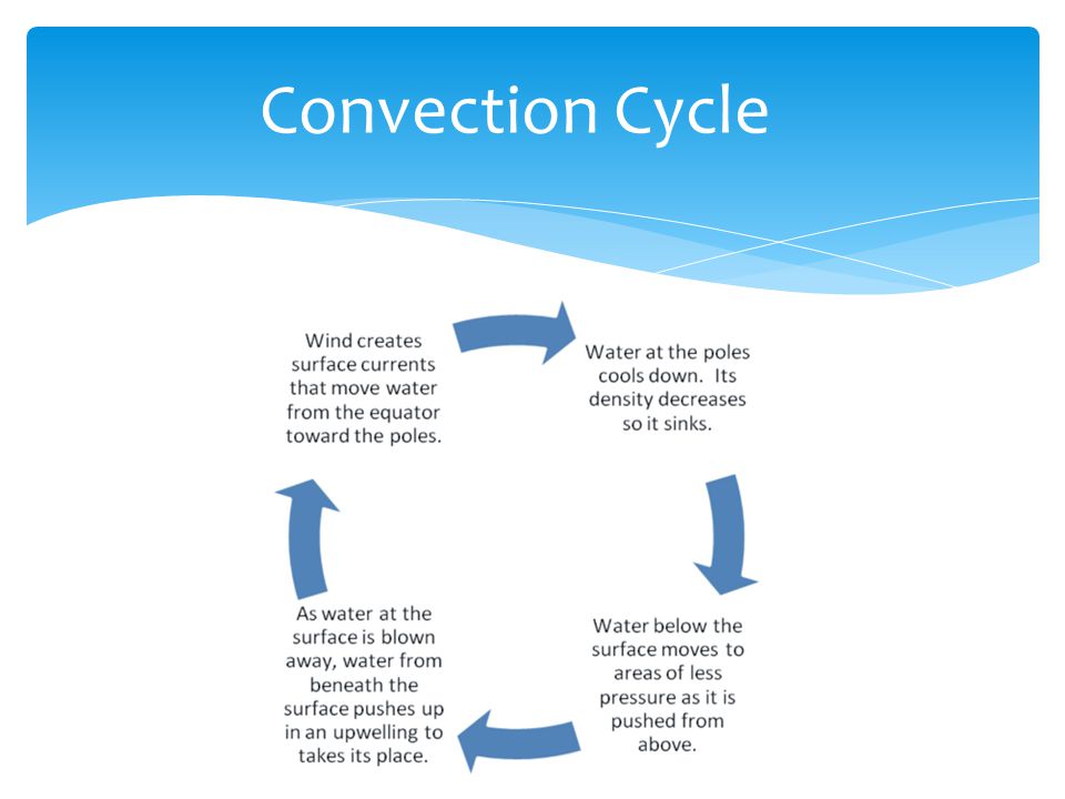 Convection Cycle