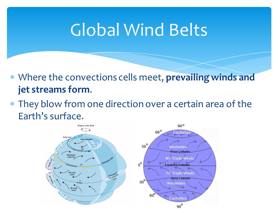 Global Wind Belts Where the convections cells meet, prevailing winds and jet streams form.
