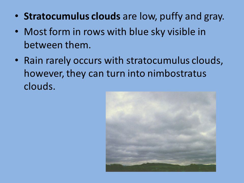 Stratocumulus clouds are low, puffy and gray.