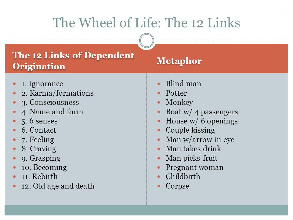 The Wheel of Life: The 12 Links