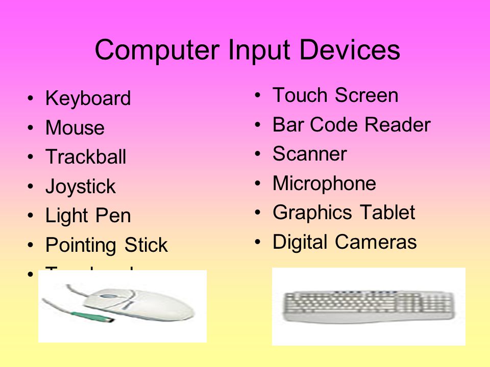 Computer Input Devices