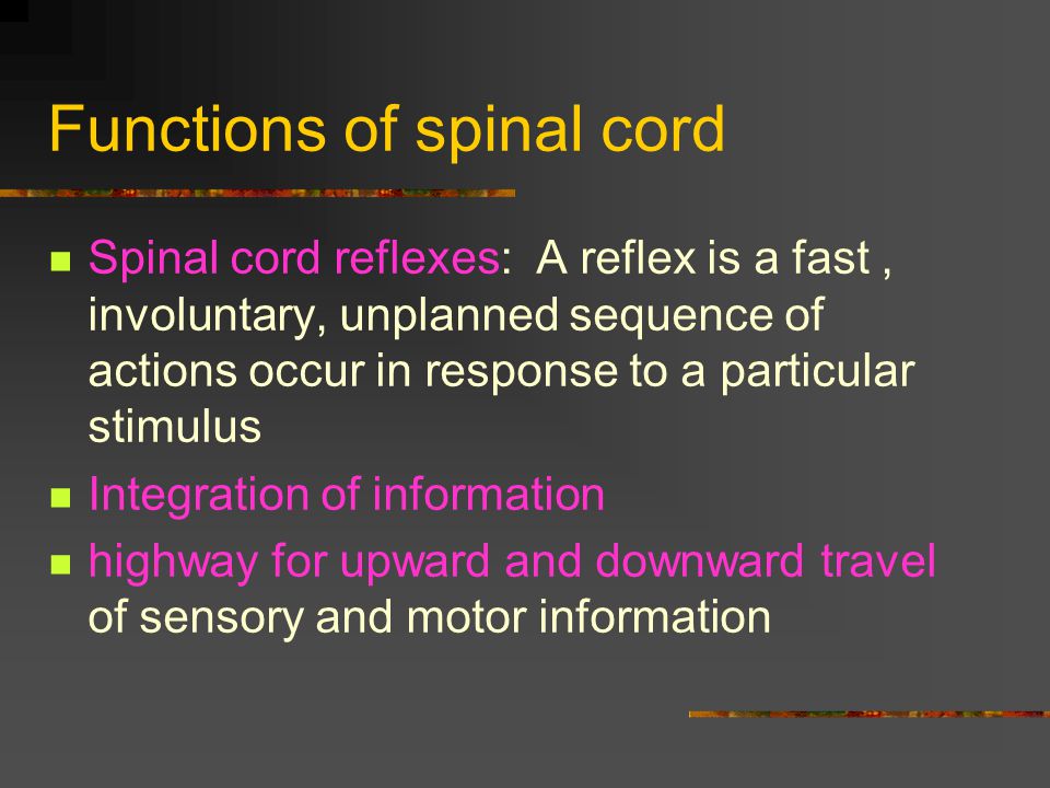 Functions of spinal cord