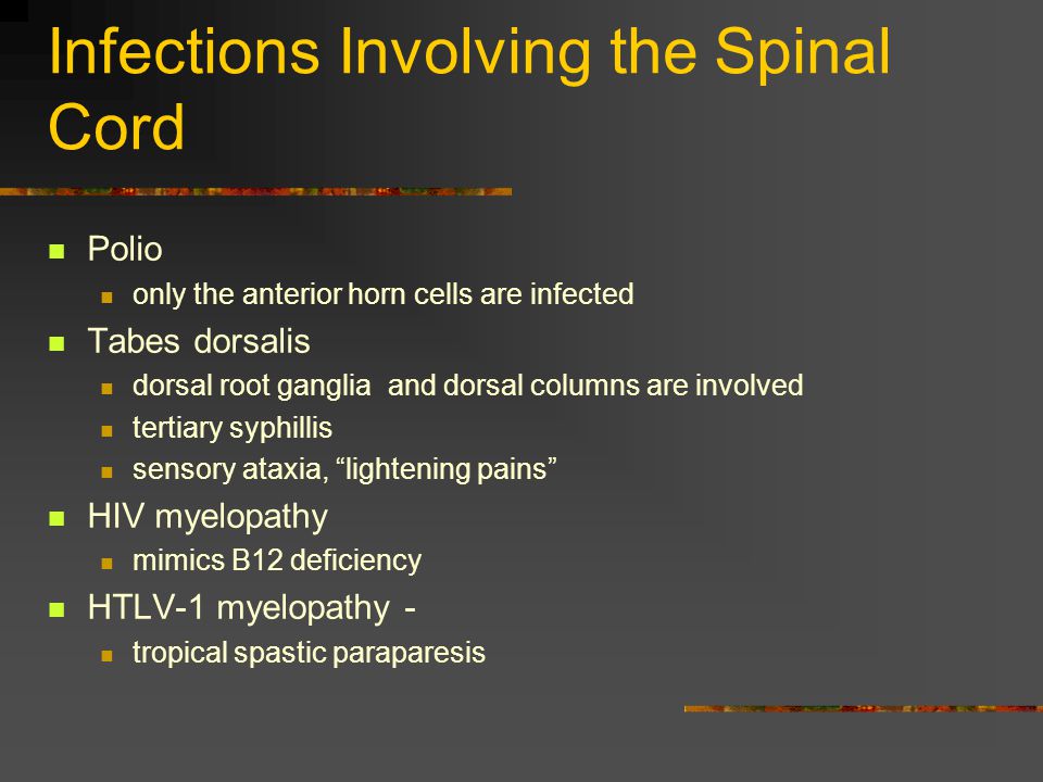 Infections Involving the Spinal Cord