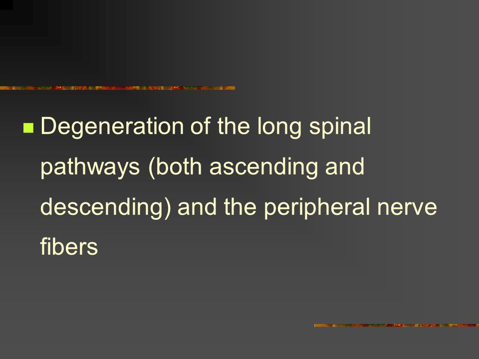 Degeneration of the long spinal pathways (both ascending and descending) and the peripheral nerve fibers