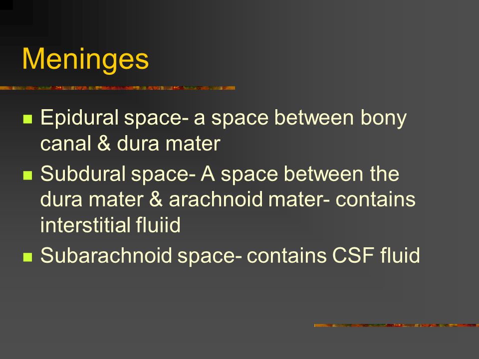 Meninges Epidural space- a space between bony canal & dura mater