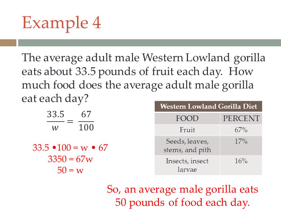 Western Lowland Gorilla Diet