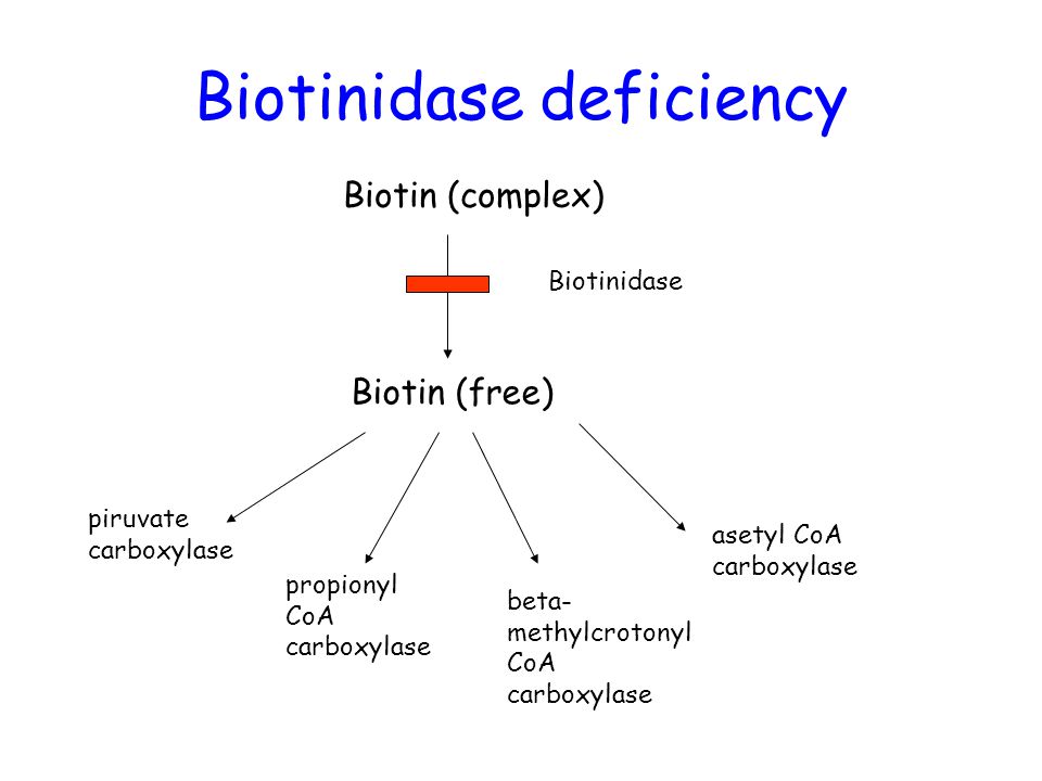 Biotinidase deficiency