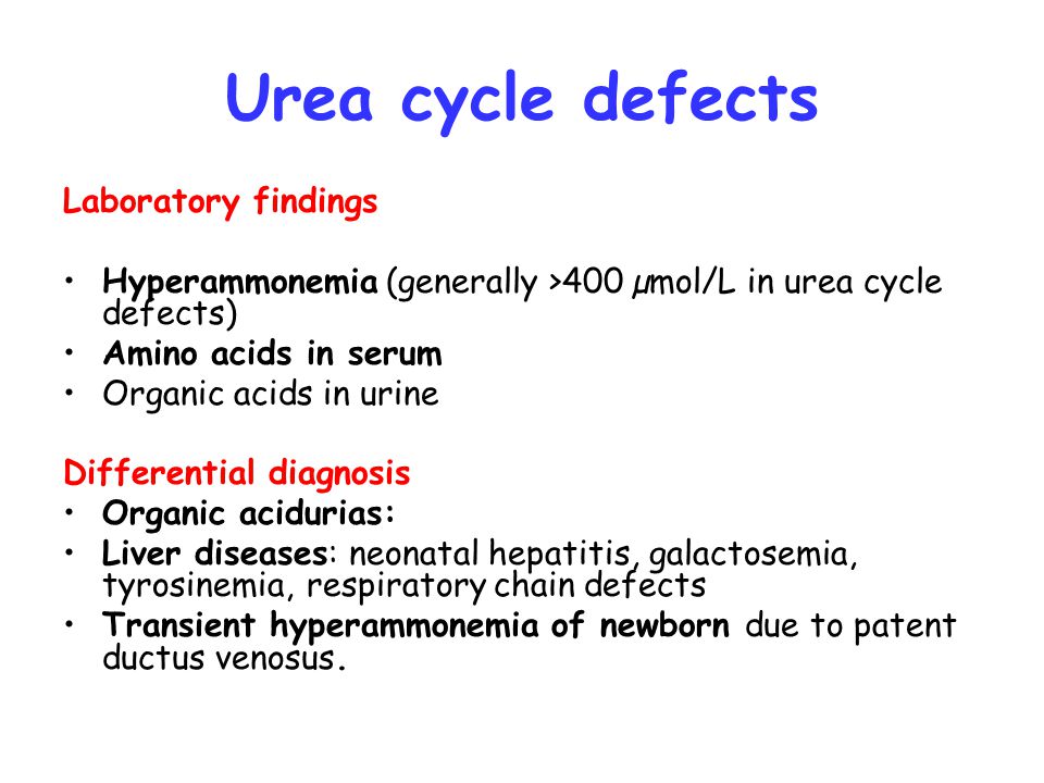 Urea cycle defects Laboratory findings