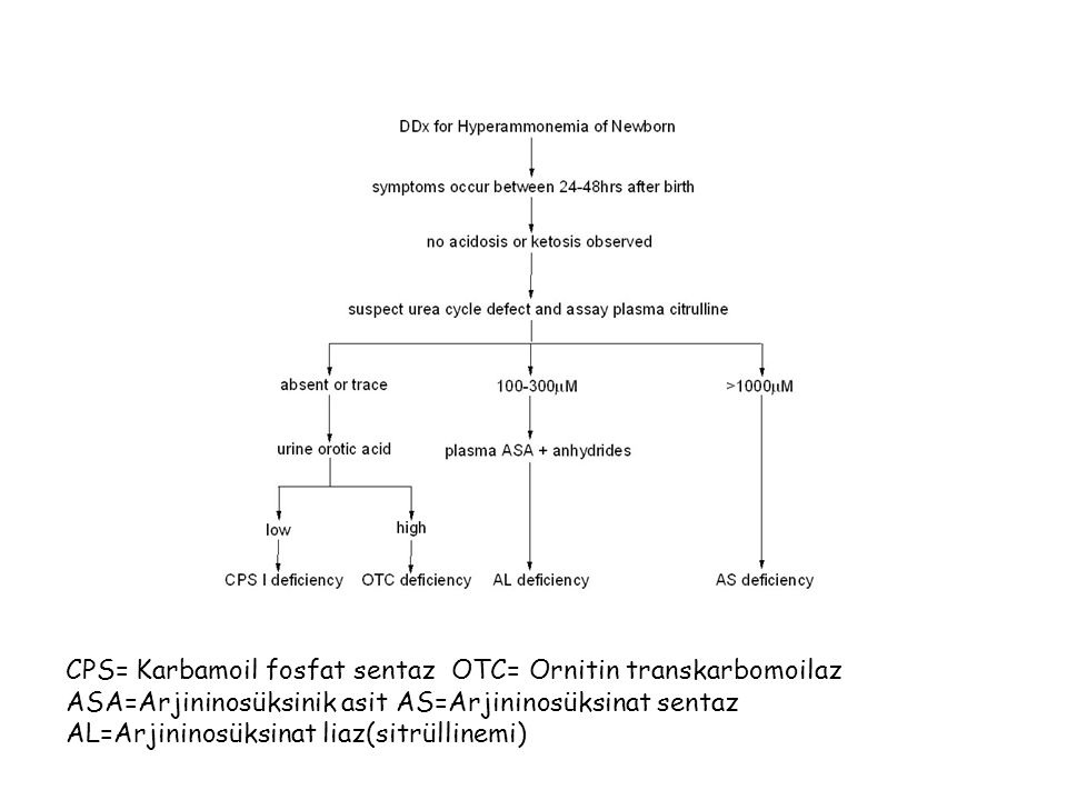 CPS= Karbamoil fosfat sentaz OTC= Ornitin transkarbomoilaz ASA=Arjininosüksinik asit AS=Arjininosüksinat sentaz AL=Arjininosüksinat liaz(sitrüllinemi)