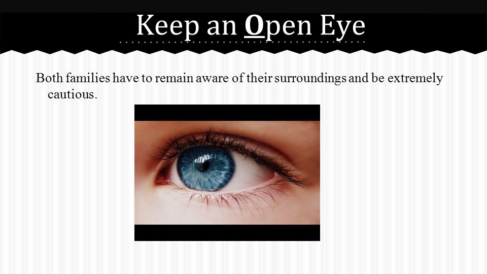 Keep an Open Eye Both families have to remain aware of their surroundings and be extremely cautious.