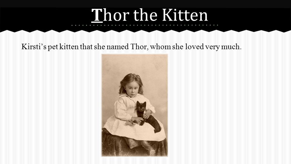 Thor the Kitten Kirsti’s pet kitten that she named Thor, whom she loved very much.