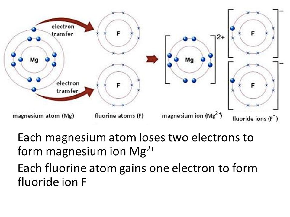 Each magnesium atom loses two electrons to form magnesium ion Mg2+ Each fluorine atom gains one electron to form fluoride ion F-
