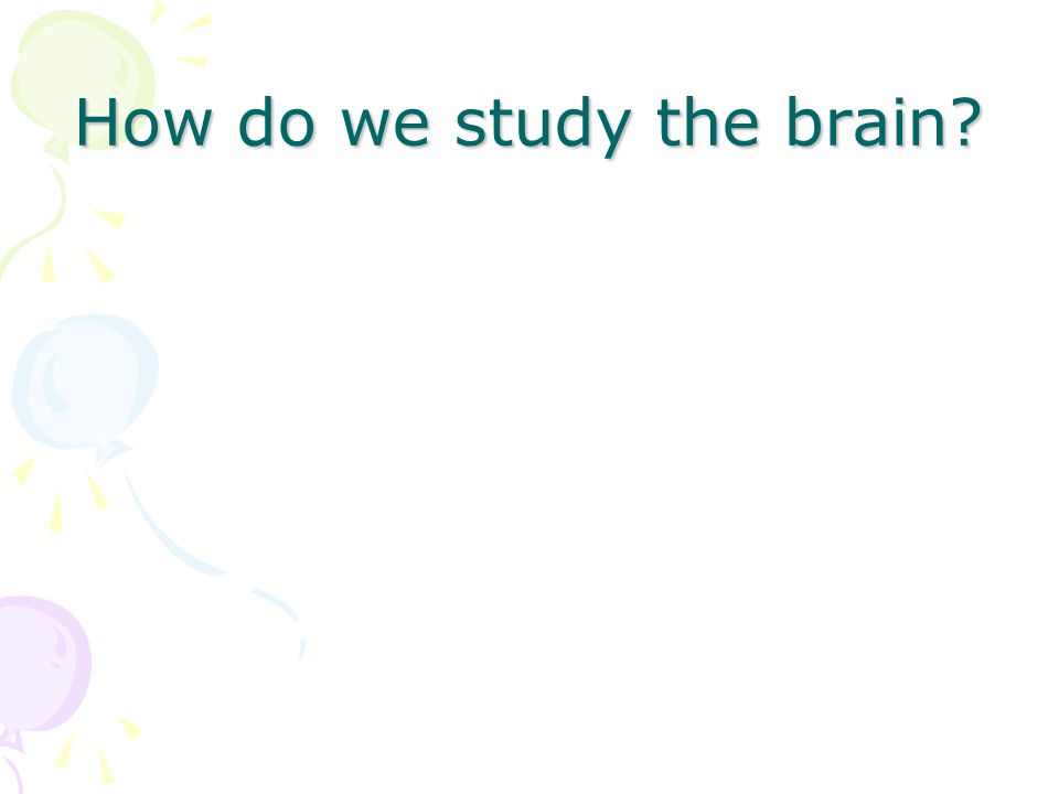 How do we study the brain