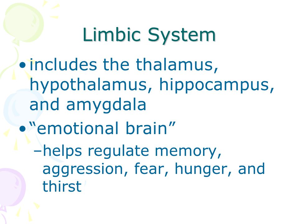 Limbic System includes the thalamus, hypothalamus, hippocampus, and amygdala. emotional brain