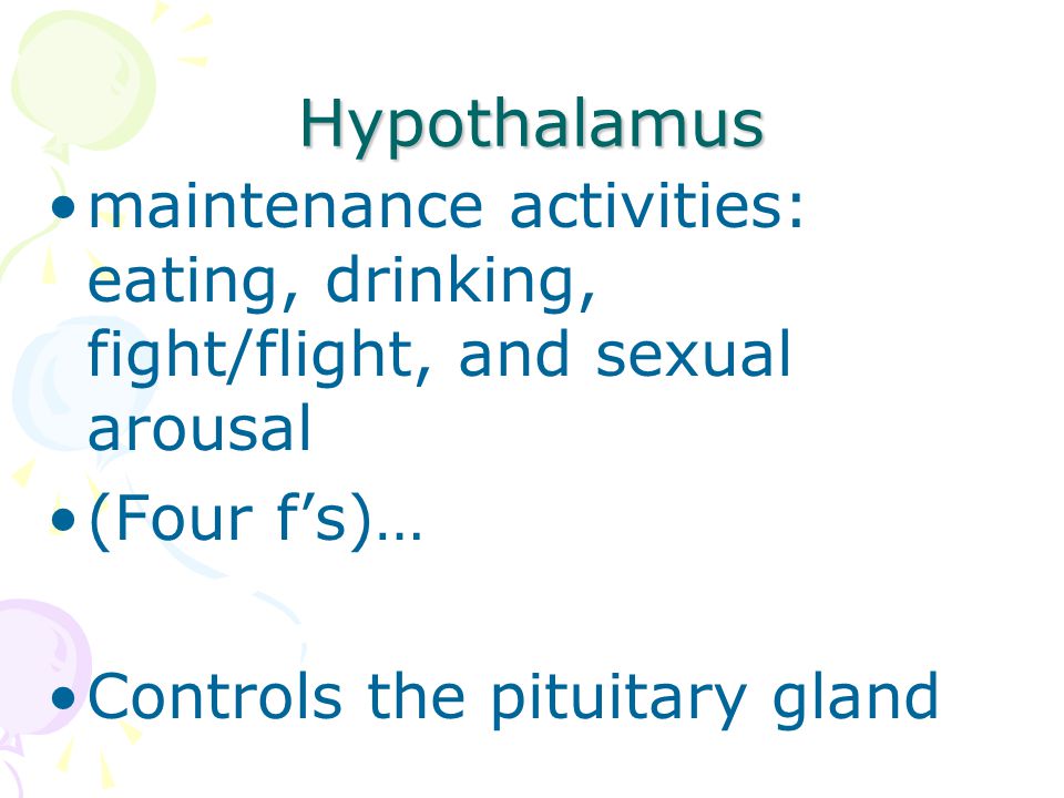 Hypothalamus maintenance activities: eating, drinking, fight/flight, and sexual arousal. (Four f’s)…