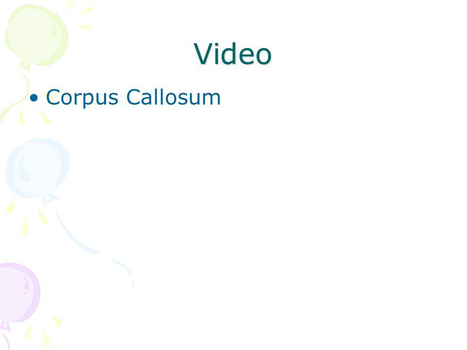 Video Corpus Callosum