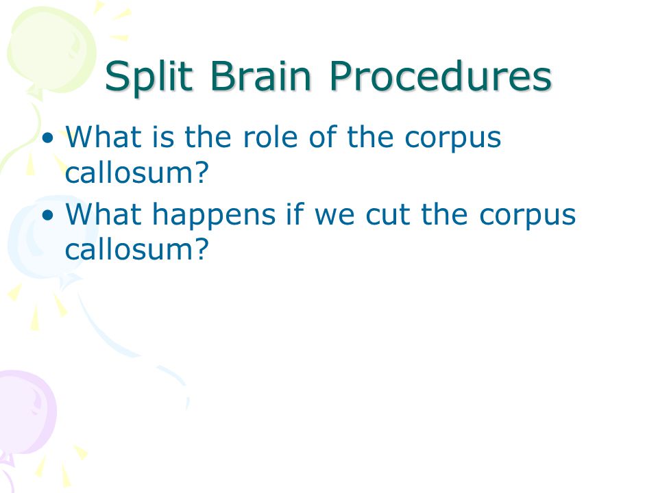 Split Brain Procedures