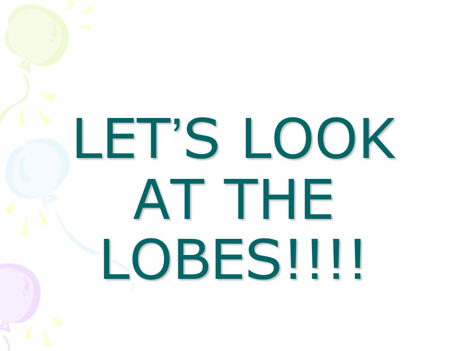 LET’S LOOK AT THE LOBES!!!!