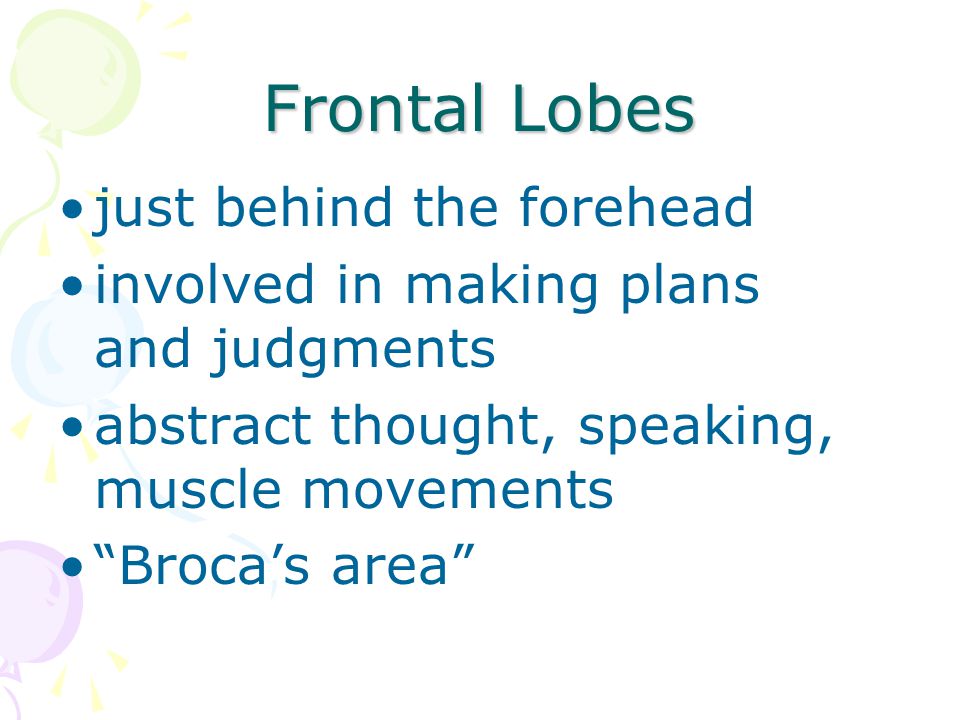 Frontal Lobes just behind the forehead