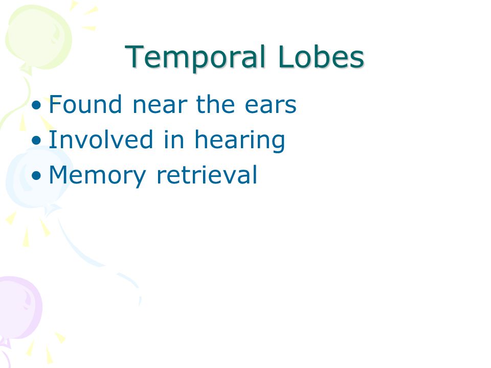 Temporal Lobes Found near the ears Involved in hearing
