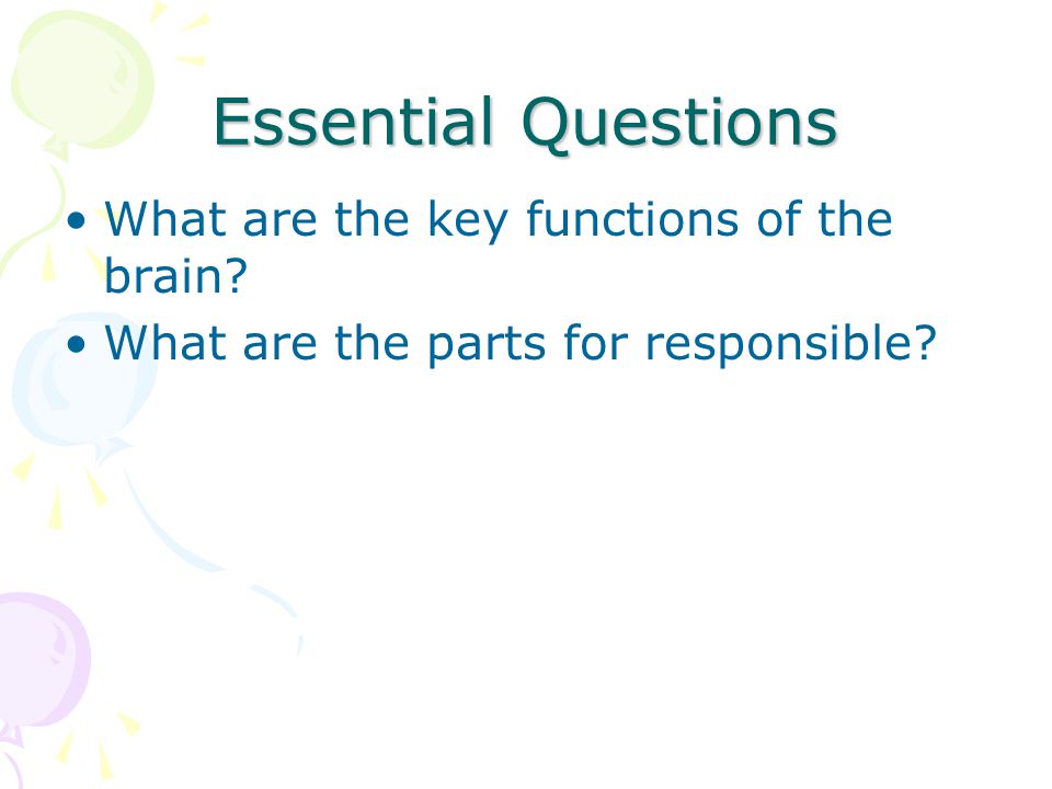 Essential Questions What are the key functions of the brain