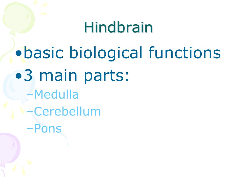 basic biological functions 3 main parts: