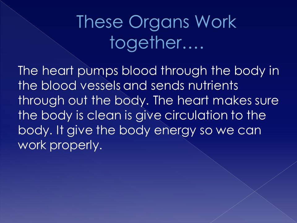 These Organs Work together….