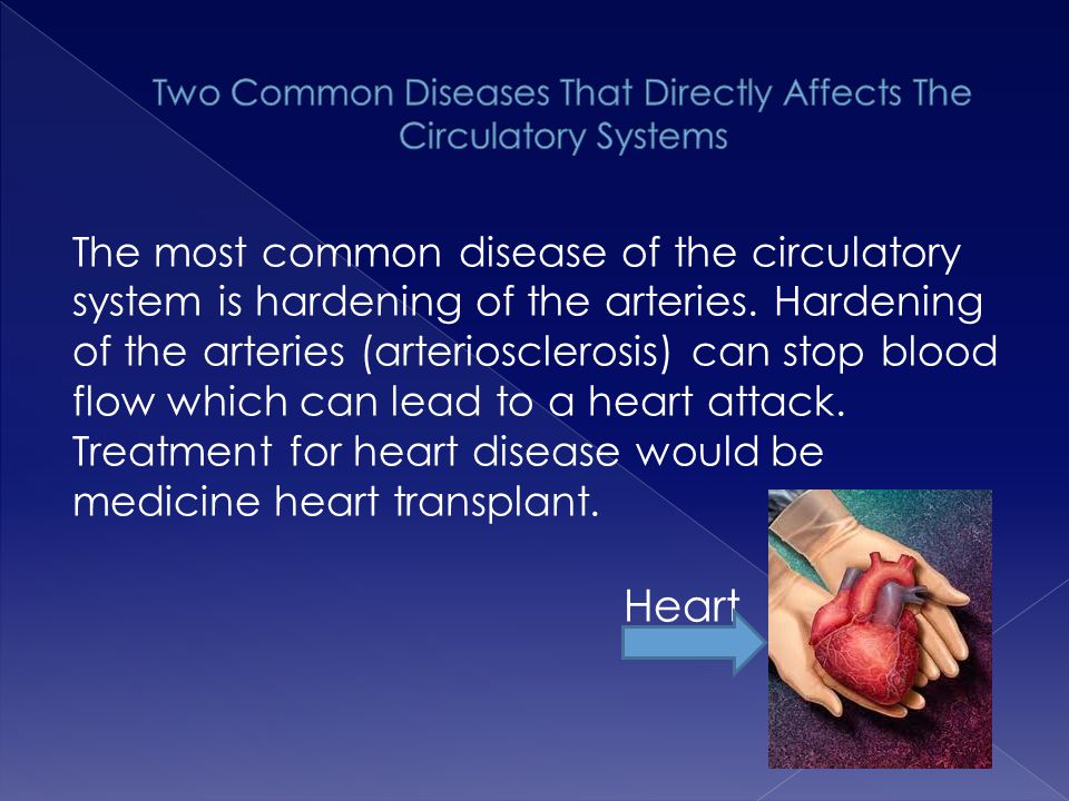Two Common Diseases That Directly Affects The Circulatory Systems