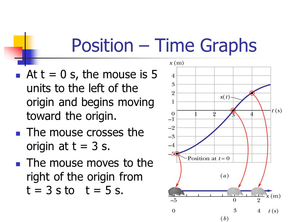 Position – Time Graphs At t = 0 s, the mouse is 5 units to the left of the origin and begins moving toward the origin.