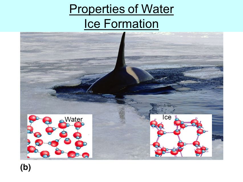 Properties of Water Ice Formation Fig. 2.11b Ice Water