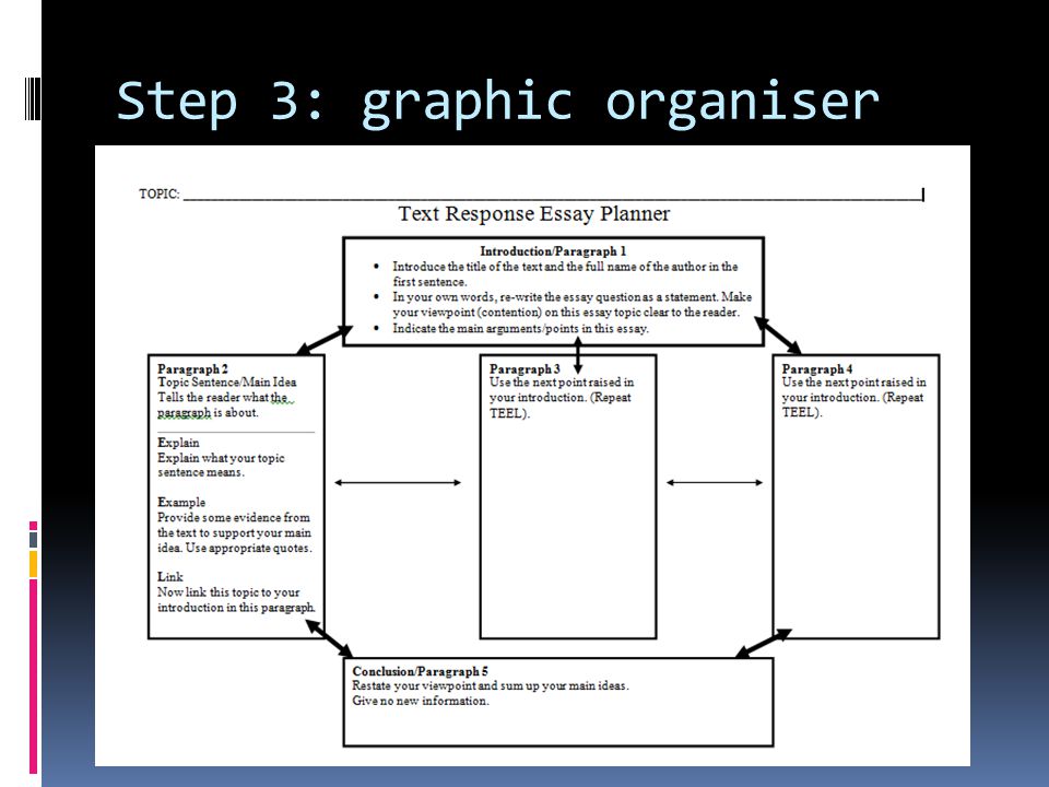 Step 3: graphic organiser