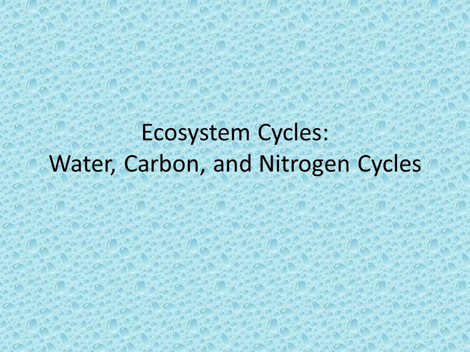 Ecosystem Cycles: Water, Carbon, and Nitrogen Cycles