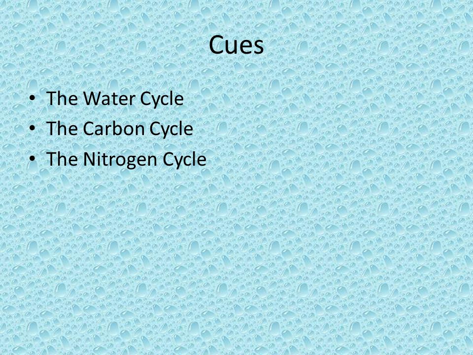 Cues The Water Cycle The Carbon Cycle The Nitrogen Cycle