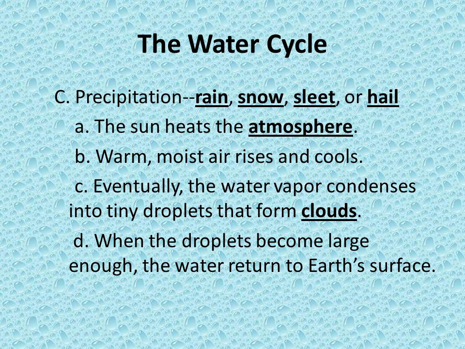 The Water Cycle C. Precipitation--rain, snow, sleet, or hail