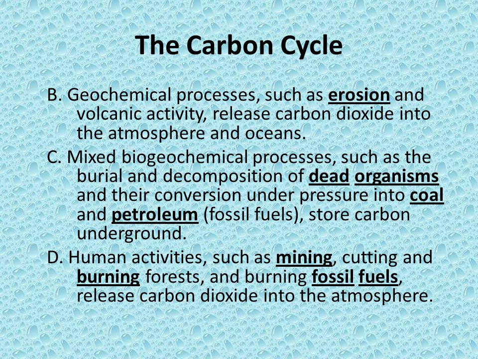 The Carbon Cycle B. Geochemical processes, such as erosion and volcanic activity, release carbon dioxide into the atmosphere and oceans.