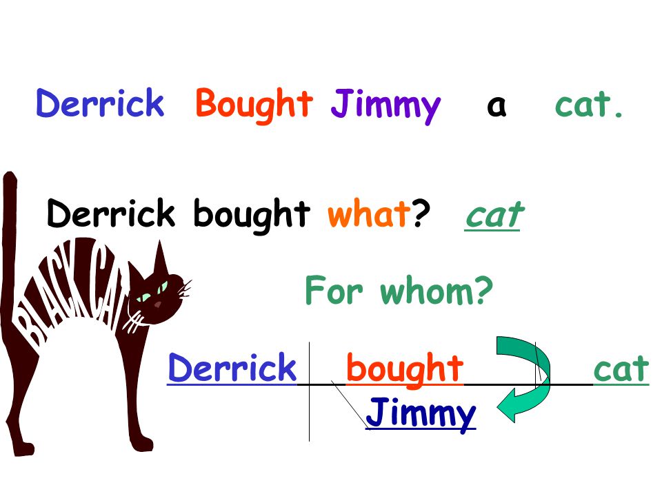 Derrick Bought Jimmy. a cat. Derrick bought what.