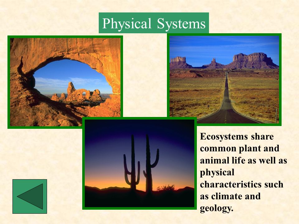 Physical Systems Ecosystems share common plant and animal life as well as physical characteristics such as climate and geology.