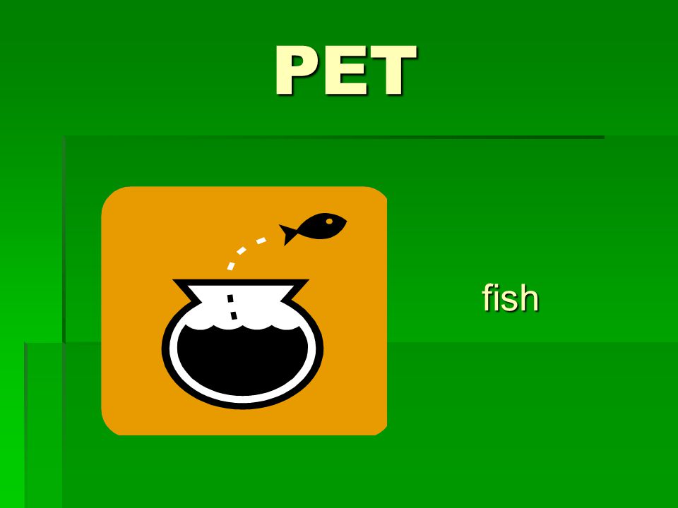 PET fish