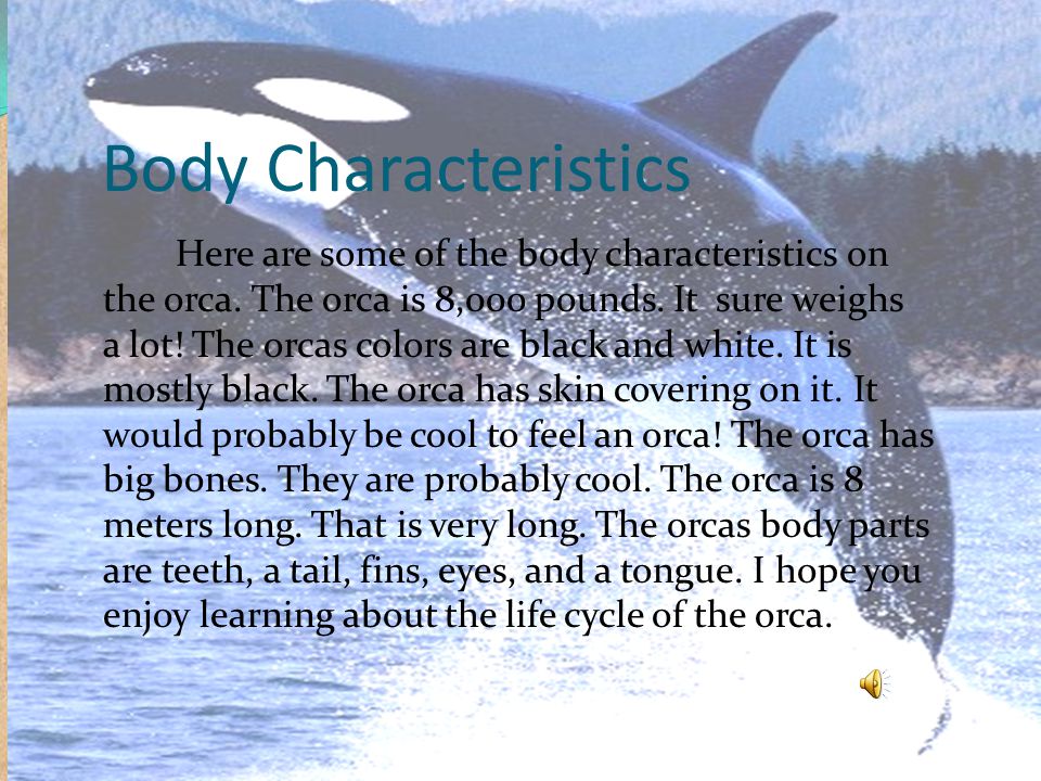 Body Characteristics