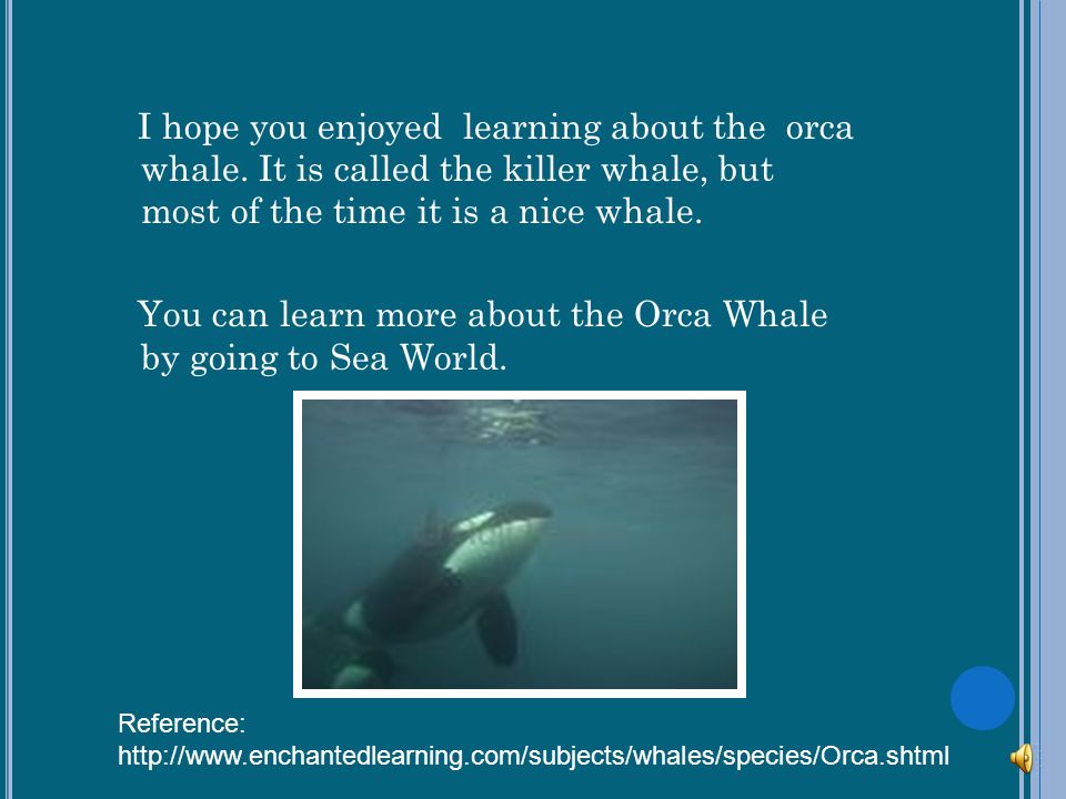 I hope you enjoyed learning about the orca whale