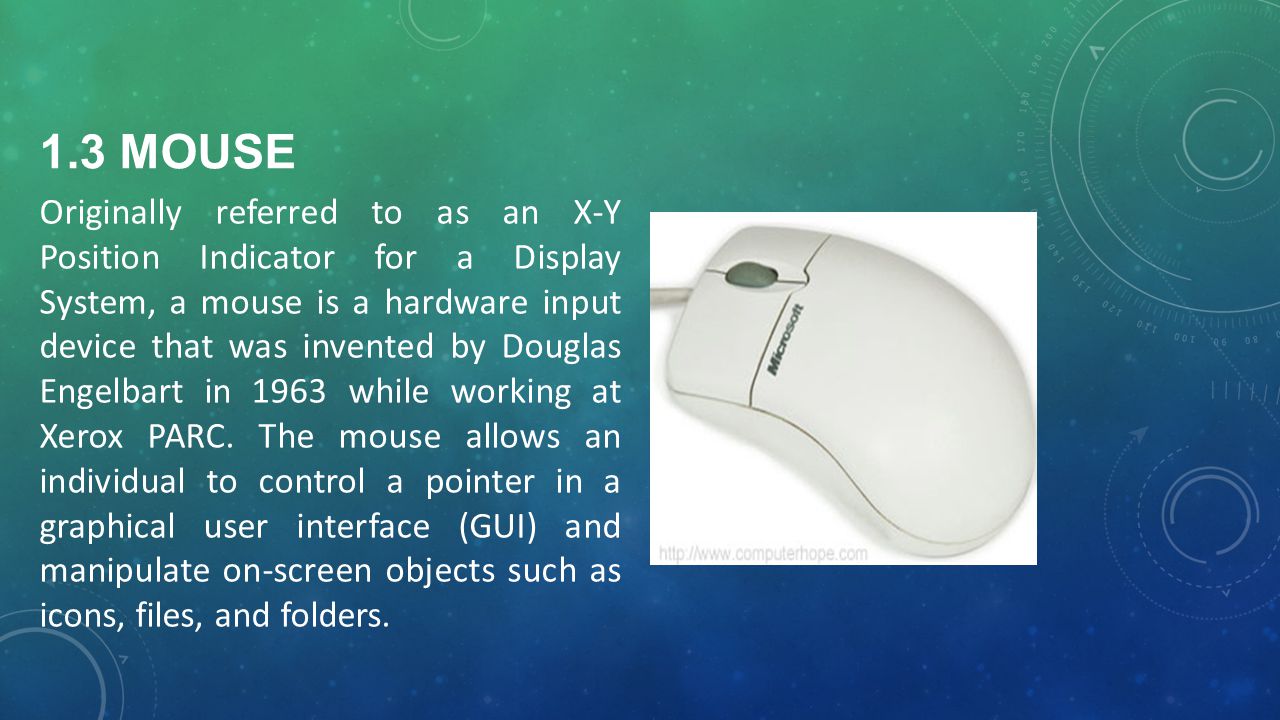 1.3 mouse