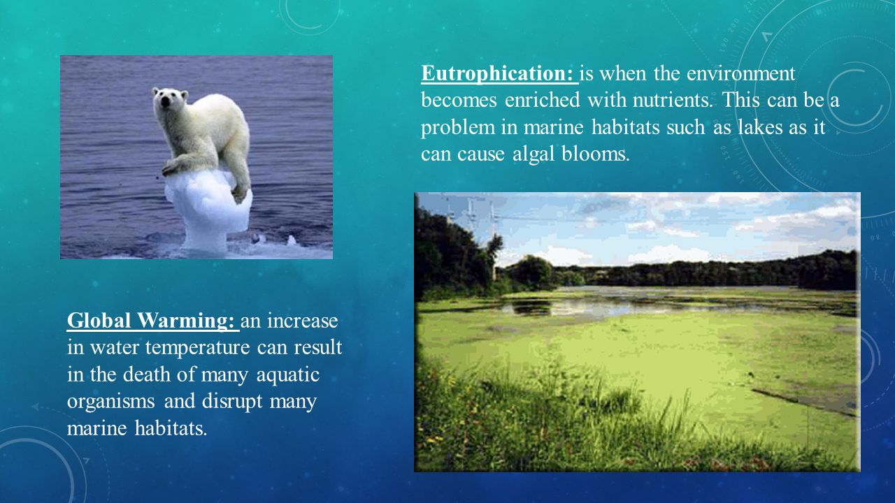 Eutrophication: is when the environment becomes enriched with nutrients. This can be a problem in marine habitats such as lakes as it can cause algal blooms.