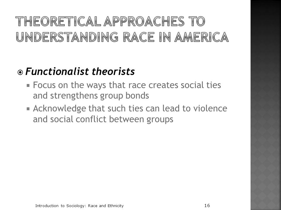 Theoretical Approaches to Understanding Race in America