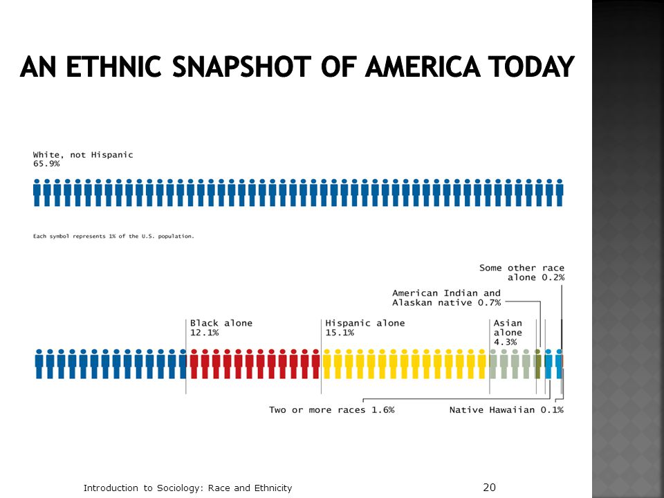 An Ethnic Snapshot of America Today