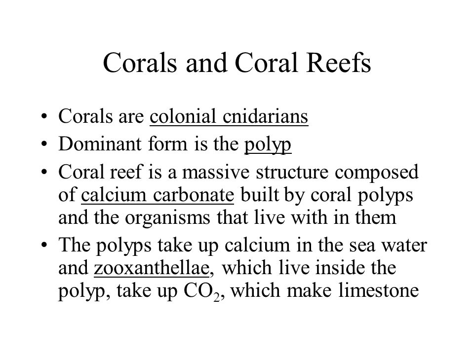Corals and Coral Reefs Corals are colonial cnidarians