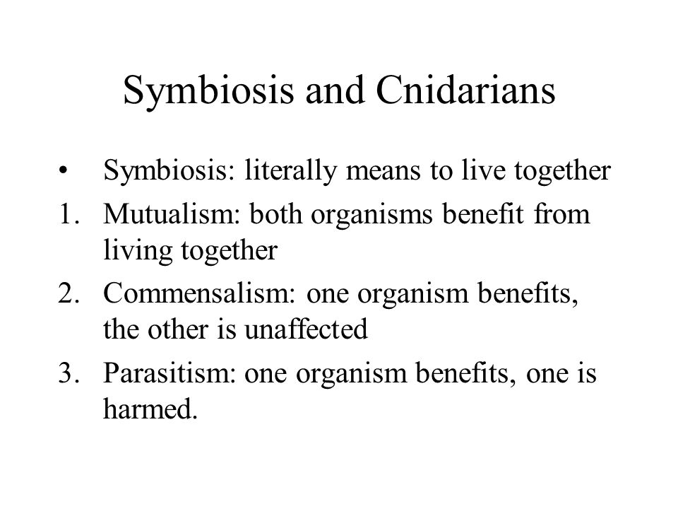 Symbiosis and Cnidarians